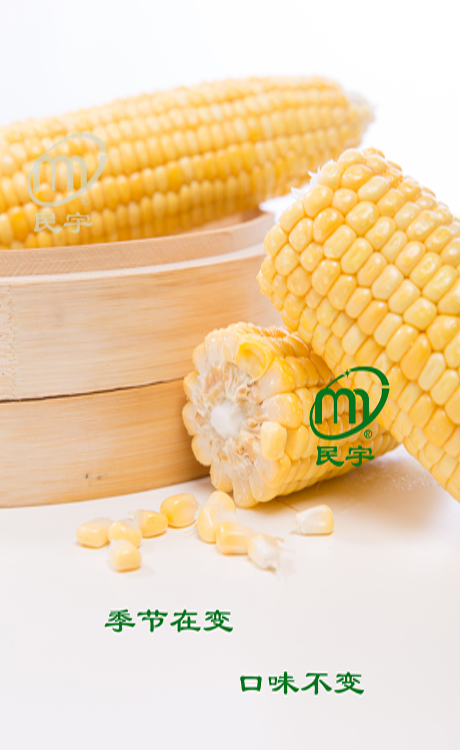 鲜玉米（鲜玉米穗）产品图片