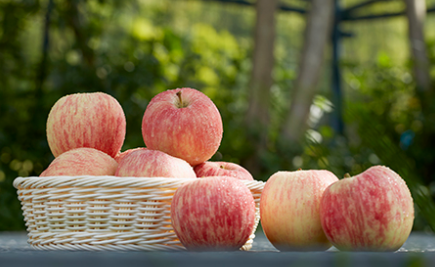 新疆阿克苏糖心苹果产品图片